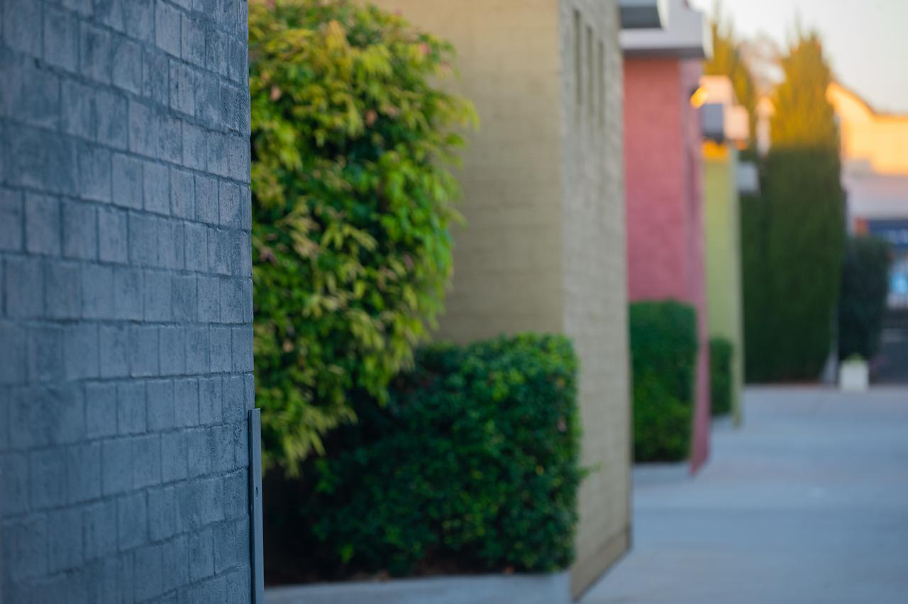 Portman House Motel Scone Exterior foto